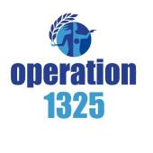 Operation 1325